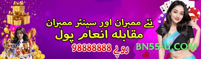 pk07 Winner Screenshot 4